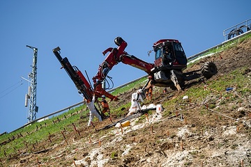 DB299289 Bahndammstabilisierung